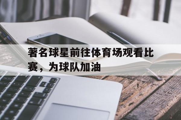 著名球星前往体育场观看比赛，为球队加油