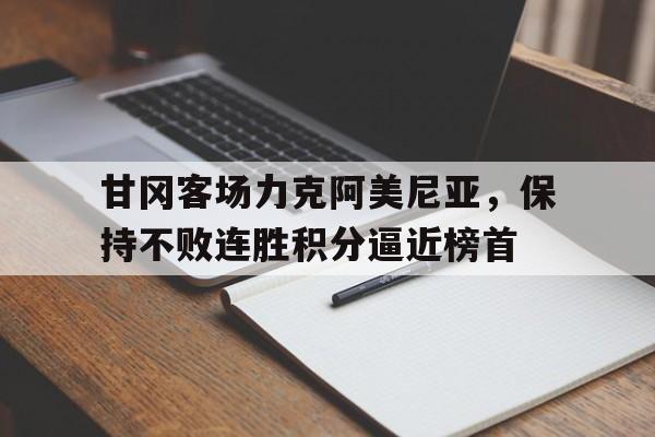 甘冈客场力克阿美尼亚，保持不败连胜积分逼近榜首的简单介绍