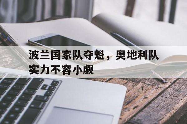 波兰国家队夺魁，奥地利队实力不容小觑的简单介绍